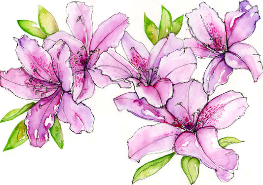 Original Art for Your Everyday Living