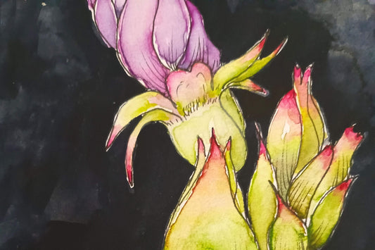 Ella Que Art studio for watercolour floral paintings and gouache feminine divive portraits for spiritual calm